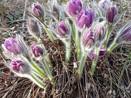 Ирэх 10 хоногт цаг агаар ямар байх вэ