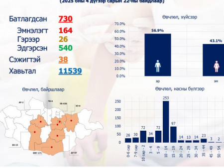 Улаанбурхан өвчний батлагдсан тохиолдлын тоо 730 болж, 164 иргэн эмнэлэгт хэвтэн эмчлүүлж байна