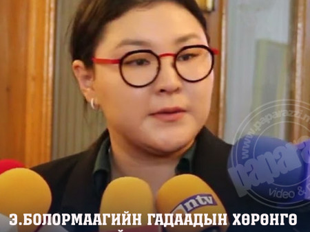 Цагдаагийн байгууллага УИХ-ын гишүүн Э.Болормааг шалгаж эхэлжээ