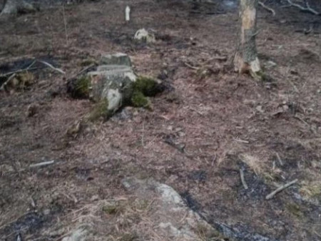 Нүхтийн аманд иргэд гал алджээ