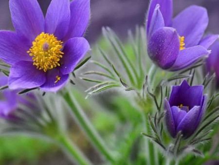 Ирэх 10 хоногийн цаг агаарын урьдчилсан төлөв