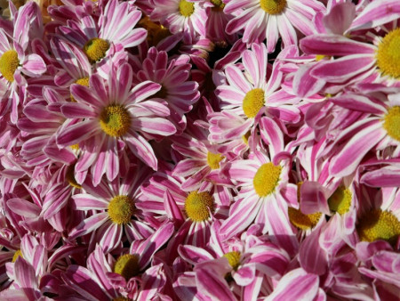 Зургаадугаар сарын цаг агаарын ерөнхий төлөв