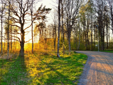 Ирэх өдрүүдэд цаг агаар ямар байх вэ