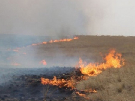 Сэлэнгэ аймагт гарсан ой хээрийн түймрийг унтраахаар ажиллаж байна