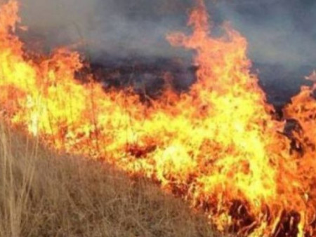 Шар өвсний түймрээс болж 75 айлын хашаа, хоёр чингэлэг, нэг автомашин шатжээ