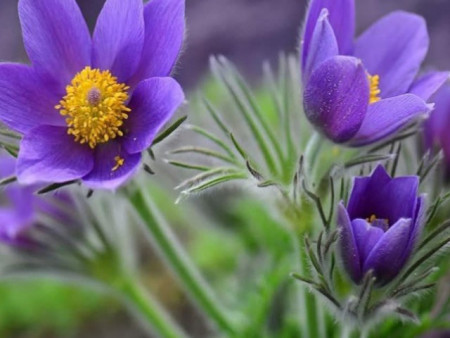 Ирэх 10 хоногийн цаг агаарын урьдчилсан төлөв