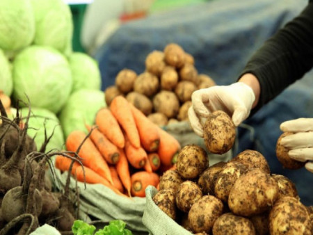 Зургаадугаар сарын 1-нээс эхлэн хүнсний ногооны тариалан эрхлэгчдэд урамшуулал олгоно