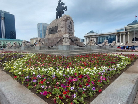 Нийслэлийн таван дүүргийн 20 байршилд 15 нэр зүйлийн 321 мянган цэцэг суулгана