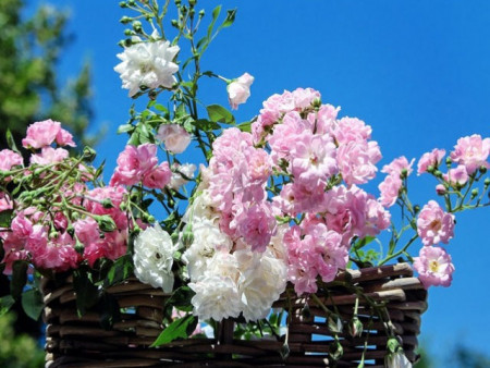 Ирэх 10 хоногт цаг агаар ямар байх вэ