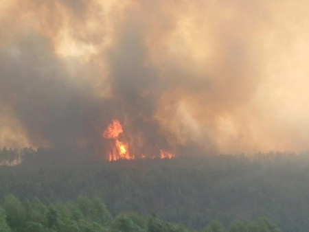 Сэлэнгэ аймгийн Алтанбулаг суманд гарсан ойн түймрийг унтраах ажил зургаа дахь өдрөө үргэлжилж байна