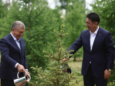 Ерөнхийлөгч У.Хүрэлсүх, Ш.Мирзиёев нар дурсгалын мод тарилаа