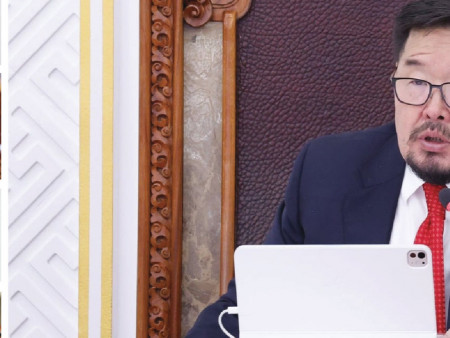 “Гишүүдийн тоог цөөлөх ард нийтийн санал асуулгыг эхлүүлнэ”