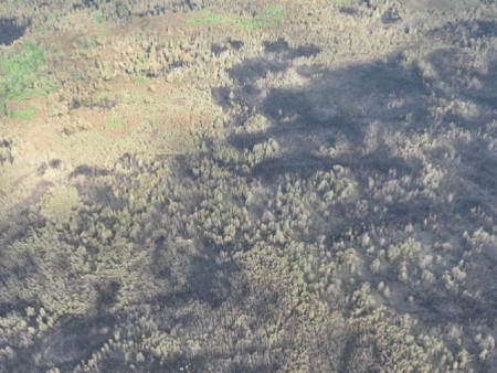 Ой, хээрийн гал түймэрт урьдчилсан байдлаар нийт 644.627 га талбай шатжээ