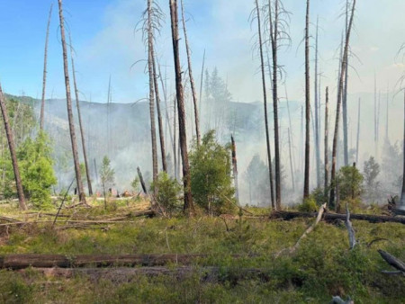 Хөвсгөл, Сэлэнгэ, Булган аймагт гарсан 7 түймрийг цурманд орууллаа