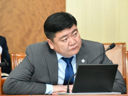 УИХ-ыг Төрийн байгуулалтын байнгын хорооны даргаар Ц.Сандаг-Очирыг сонгохыг дэмжлээ
