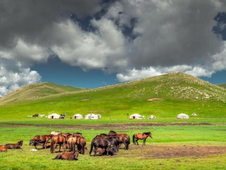 Арав хоногийн цаг агаарын урьдчилсан төлөв
