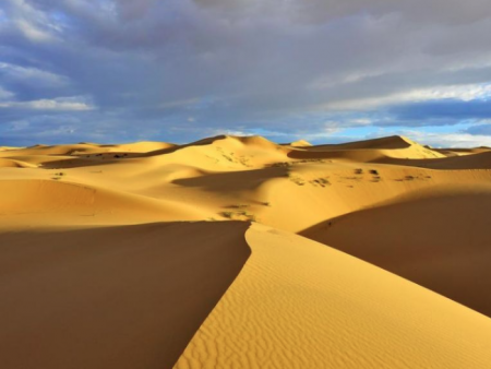 Говийн баруун өмнөд хэсгээр +40 градус хүрнэ