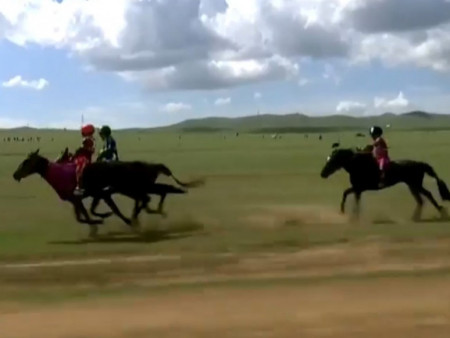 Монгол Улсын Тод манлай уяач Б.Гантигийн сартай хүрэн хязаалан түрүүллээ