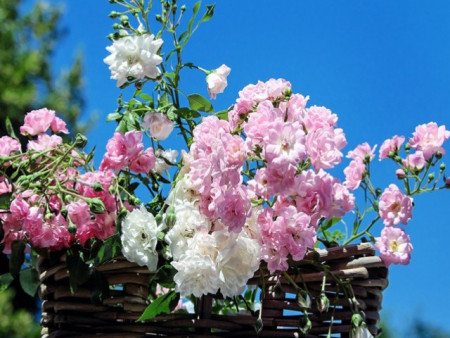 Ирэх 10 хоногт цаг агаар ямар байх вэ