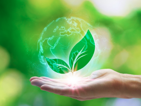 Дэлхийн байгаль хамгаалагчдын өдөр тохиож байна