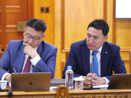 Ашигт малтмалын тусгай зөвшөөрлийн олголт, тэдгээрийн эзэмшил, байршил зэрэгт улсын нэгдсэн тооллого, хяналт хийнэ