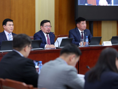 Бэлчээрийн өвс, байгалийн хадлан бэлтгэж экспортлохыг хориглолоо