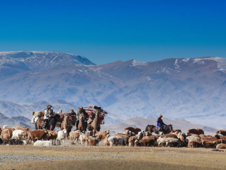 Отроор яваа малчдад харьяалал харгалзахгүй эрүүл мэндийн тусламж, үйлчилгээ үзүүлнэ