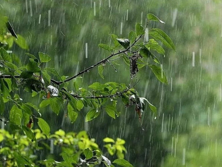 Ирэх 10 хоногт цаг агаар ямар байх вэ