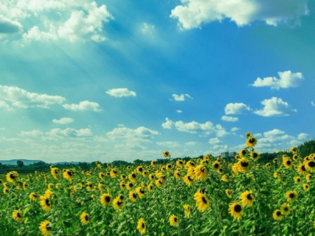 Ойрын 10 хоногт цаг агаар ямар байх вэ