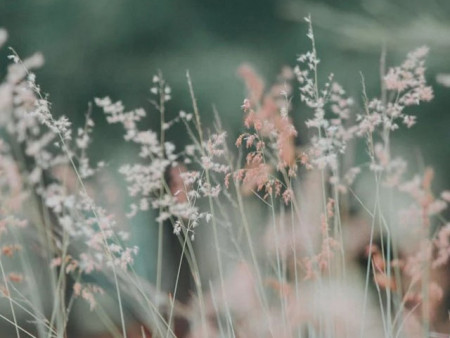 Ирэх арав хоногт цаг агаар ямар байх вэ