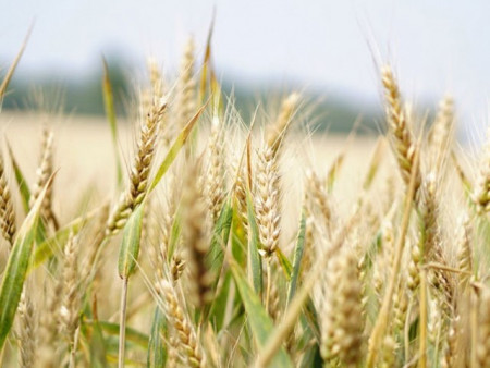 Ирэх саруудын цаг агаарын ерөнхий төлөв