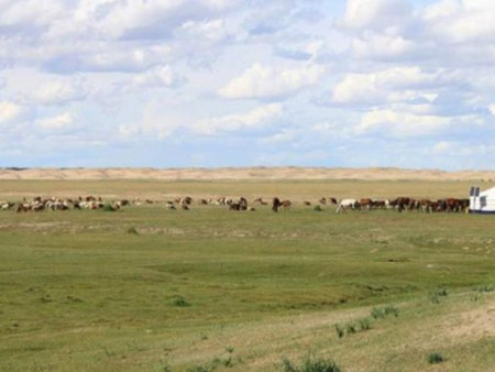Нийт нутгийн 40 хувьд гантай болон гандуу байна