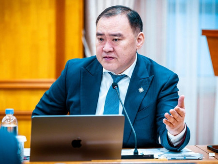 Л.Гантөмөр: Засгийн газар ажлаа хийхгүй байна