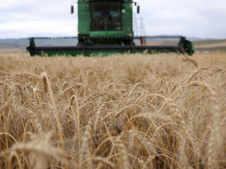 Ерөнхий сайд Г.Занданшатар тариаланчдыг дэмжиж ажиллахыг аймгийн удирдлагуудад үүрэг болгов