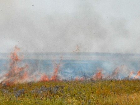 Дорнод аймагт гарсан хээрийн гал түймрийг бүрэн унтраалаа