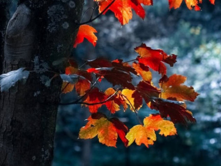 Энэ арав хоногт цаг агаар ямар байх вэ