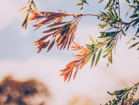 Ирэх 10 хоногт цаг агаар ямар байх вэ