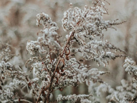 Есдүгээр сарын 2-3-нд шилжих шөнө Монгол-Алтайн уулархаг нутгаар нойтон цас орно