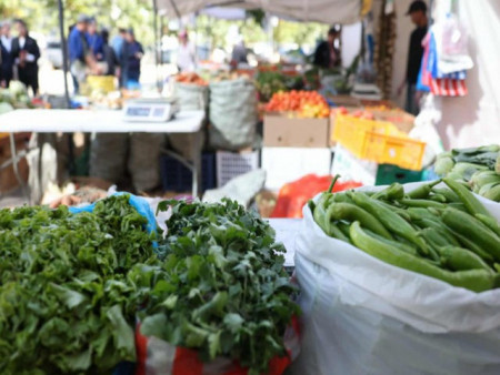 “Намрын ногоон өдрүүд-2025” Төв цэнгэлдэх хүрээлэнд энэ сарын 28-ны өдөр хүртэл үргэлжилнэ