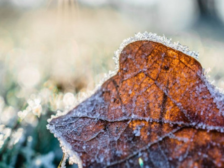 Ирэх 10 хоногийн цаг агаарын урьдчилсан төлөв