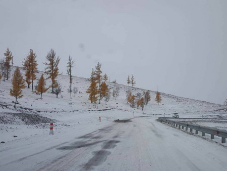 Зарим нутгаар бороо, нойтон цас орж, шуурна