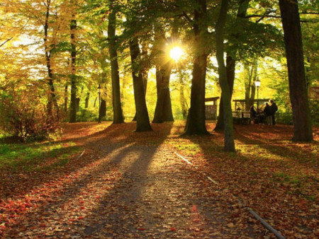 Өнгөрөгч есдүгээр сар 10 дахь дулаан сар болж өнгөрлөө