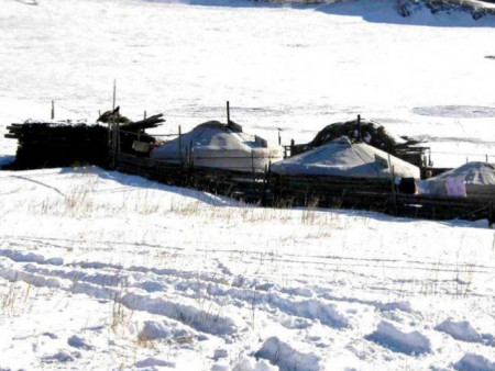 Нийт нутгийн 46 хувьд цастай байна