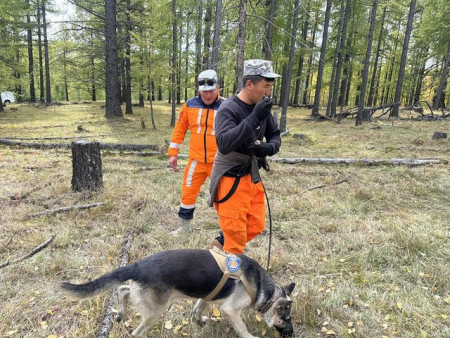 Тариалан суманд алга болсон 46 настай эмэгтэйг 16 хоног эрэн хайх ажиллагаа үргэлжилж байна