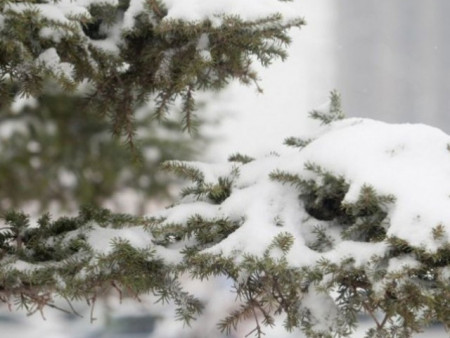 Арваннэгдүгээр сарын цаг агаарын ерөнхий төлөв