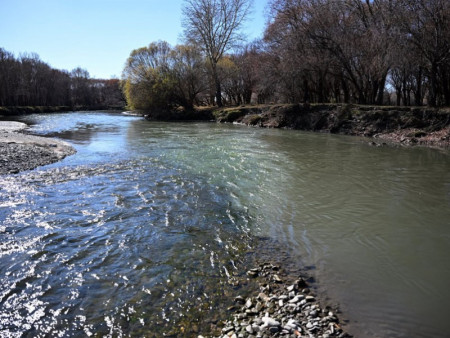 Х.Нямбаатар: Туул голыг ихээр бохирдуулж буй 80 ААН хуулиа мөрдөж, урьдчилан цэвэрлэх байгууламж барих ёстой