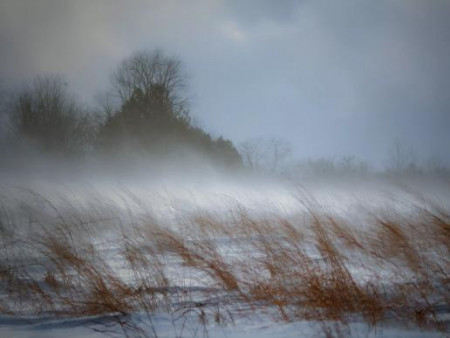 Бага насны хүүхэд, өндөр настан, хөгжлийн бэрхшээлтэй иргэдийг малд явуулахгүй байхыг зөвлөж байна