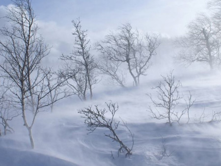 Цаг агаарын гамшигт үзэгдлээс сэрэмжлүүлж байна