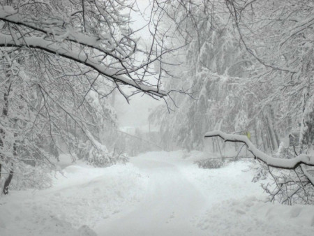 ЦУОШГ: Зудын урьдчилсан төлөв