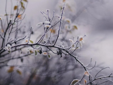 Ирэх арав хоногийн цаг агаарын урьдчилсан төлөв